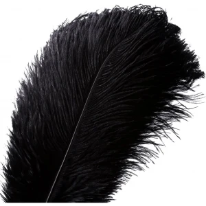 Natural Ostrich Feather Craft Plume - 16~18 inch(40-45cm) - 10/Pack