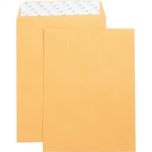 Business Source Self Adhesive Kraft 9'' x 12'' Catalog Envelopes -250/Box