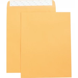 Business Source #13 (10'' x 13'') Self Adhesive Kraft Catalogue Envelopes - 250/Box